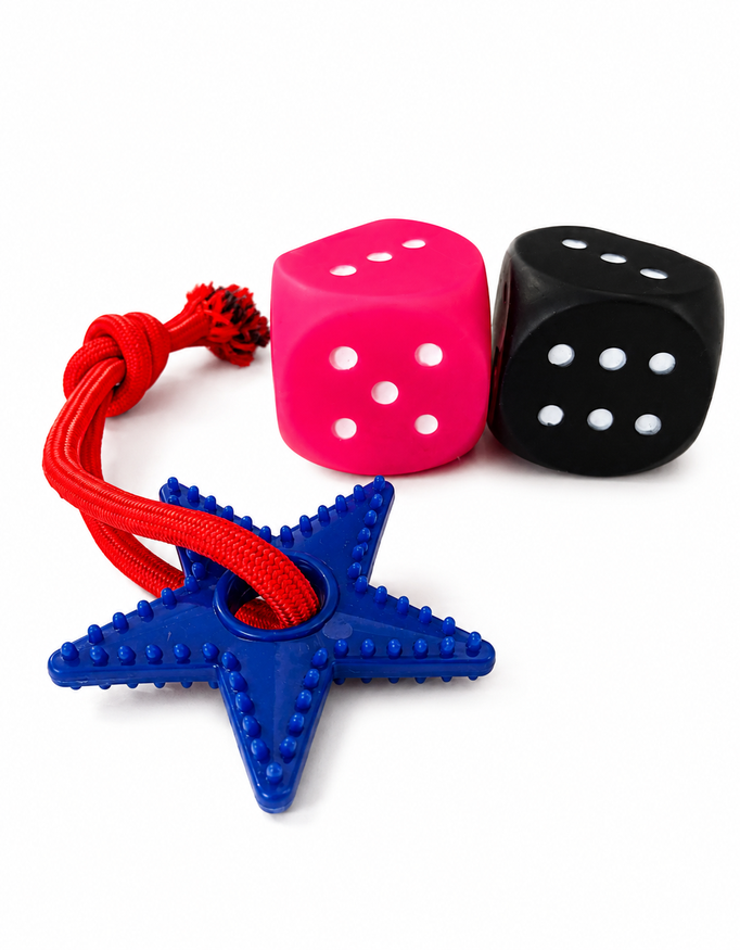 Squeaky Dice & Star Rope Dog Toy Set for Medium Breeds