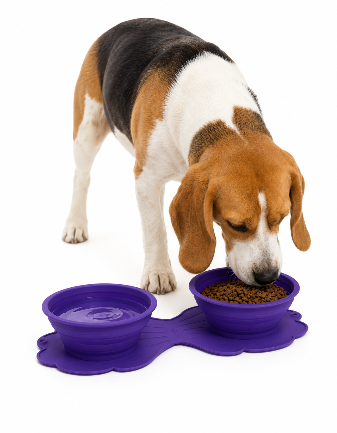 Portable Collapsible Travel Bowl for Dogs - Food & Water Silicone Bowl