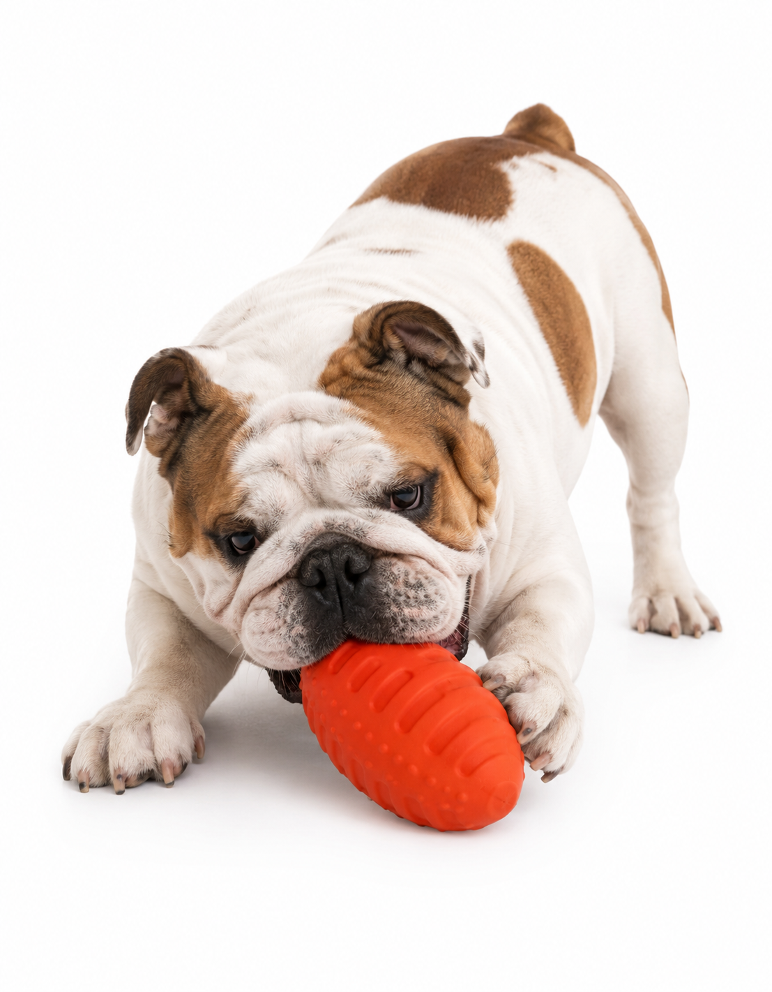 Squeaky Rugby Ball Dog Toy - Durable Rubber Chew & Fetch Toy